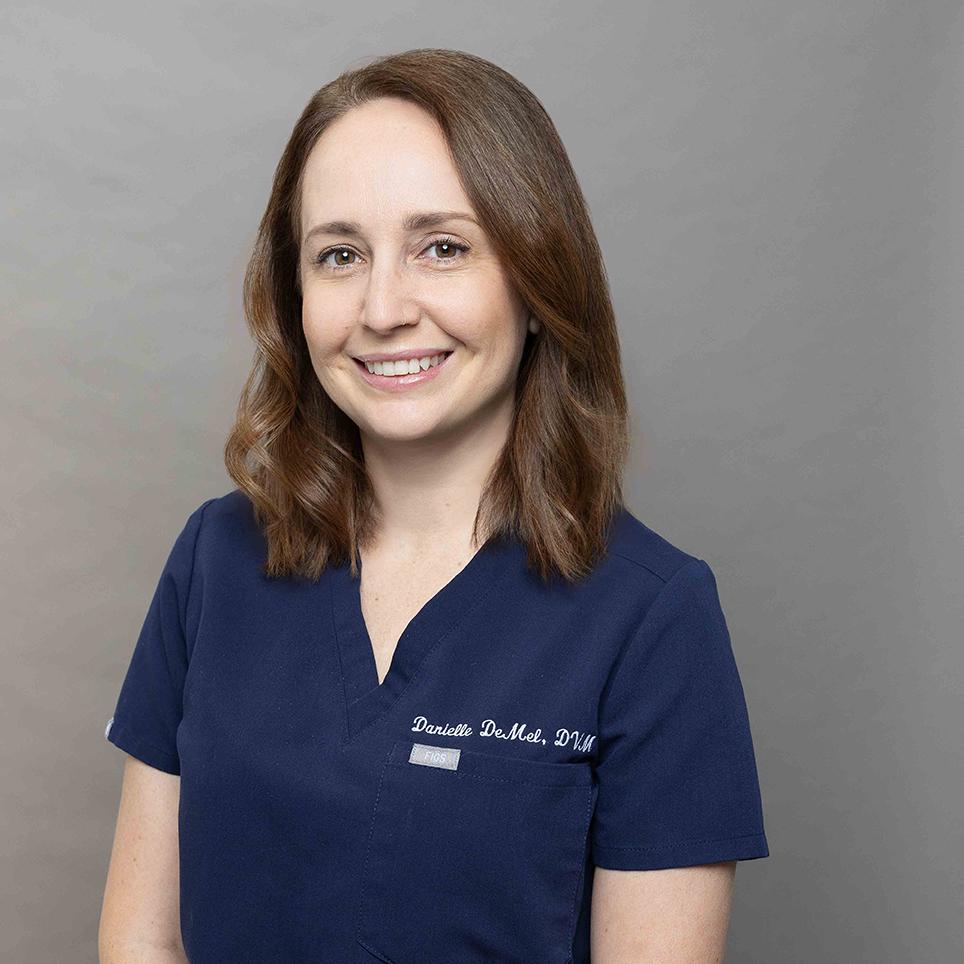 Danielle DeMel, DVM, DACVECC