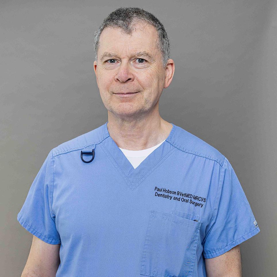 Paul Hobson, BVetMed, MRCVS